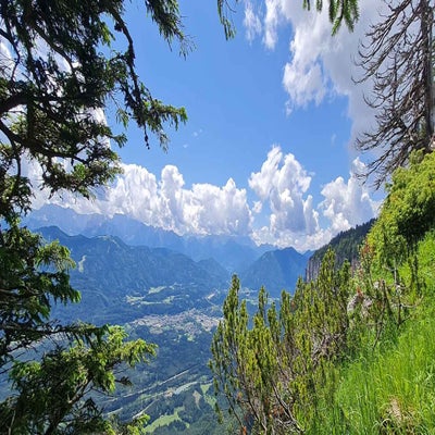 alpengarten7_23-standard.jpg