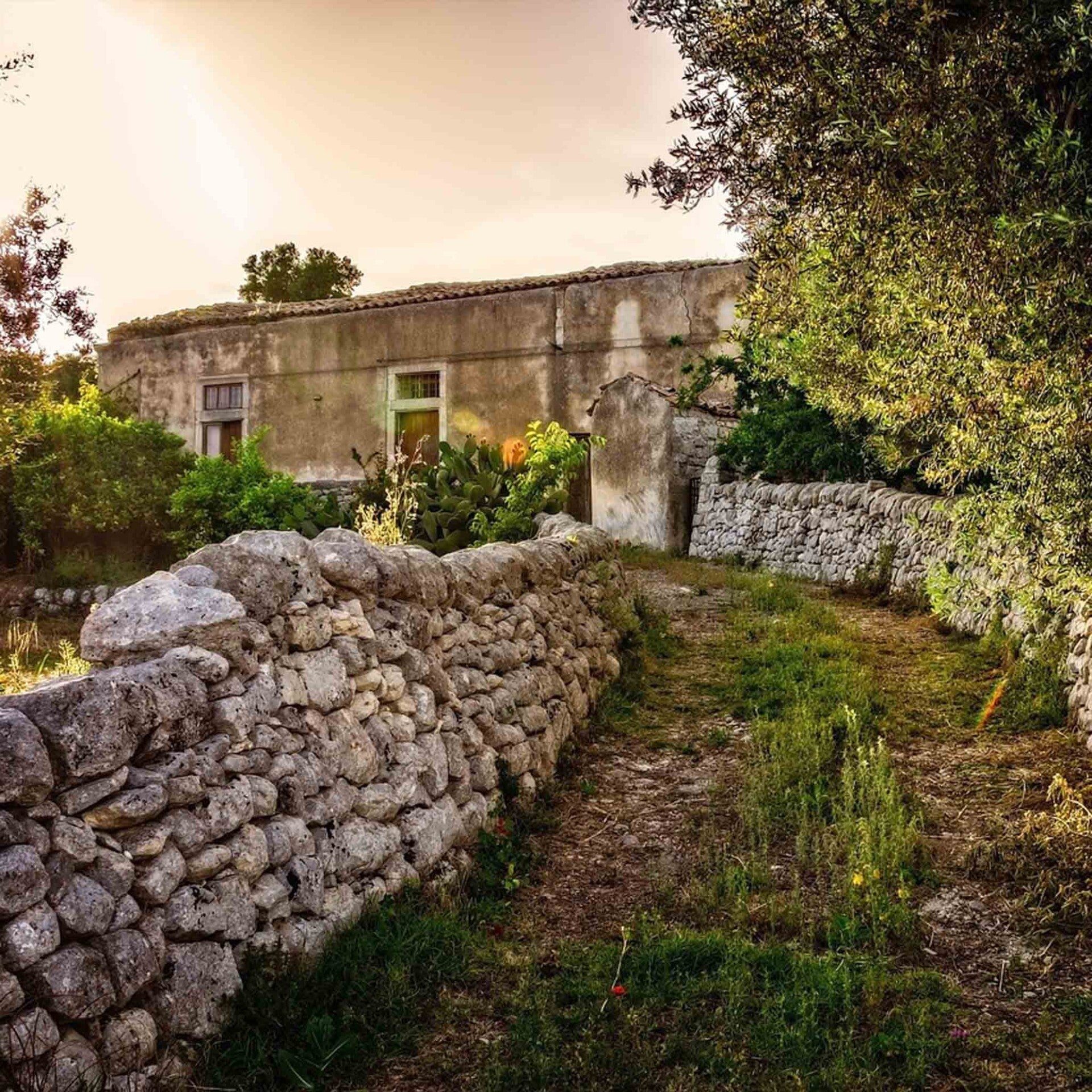 wir flattern auf heimische nachtfalter tagfalter raupen nahrungspflanzen österreich petra urbanek inge biller sabine gasparitz wirflatternauf bugs-team