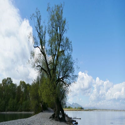 bregenz6-standard.jpg
