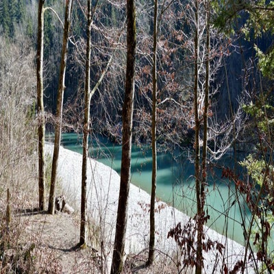 bregenzerach-schlucht14-standard-5qjiz5.jpg