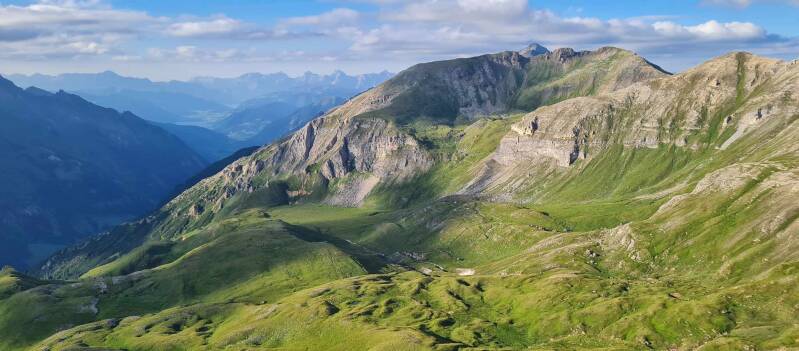edelwei-spitze4-standard.jpg