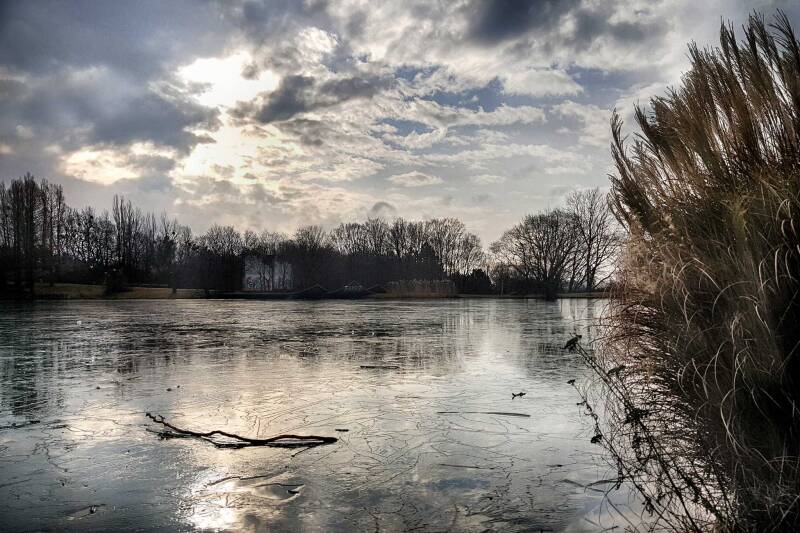 Teich / Oberlaa