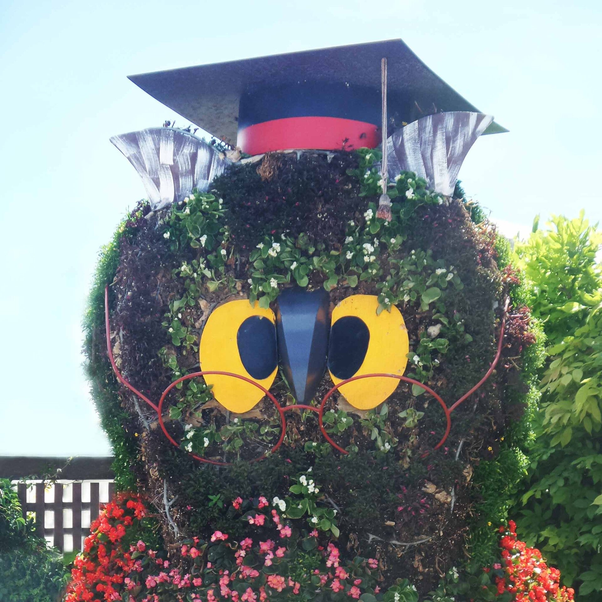 wir flattern auf heimische nachtfalter tagfalter raupen nahrungspflanzen österreich petra urbanek inge biller sabine gasparitz wirflatternauf bugs-team