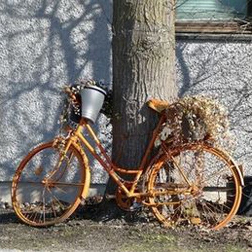 wir flattern auf heimische nachtfalter tagfalter raupen nahrungspflanzen österreich petra urbanek inge biller sabine gasparitz wirflatternauf bugs-team