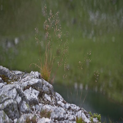 giglachsee5-standard.jpg