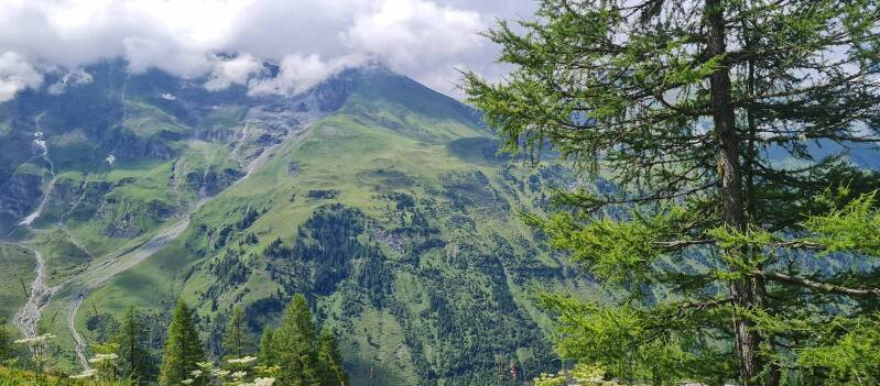 glockner5_25-standard.jpg