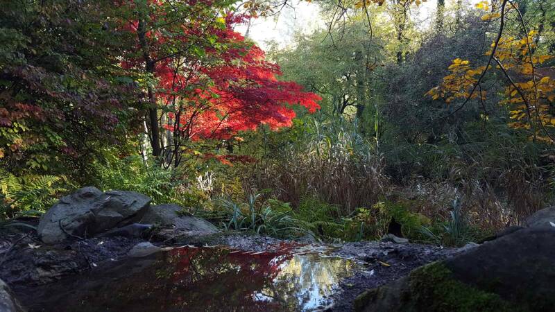 herbst_o_16-standard.jpg