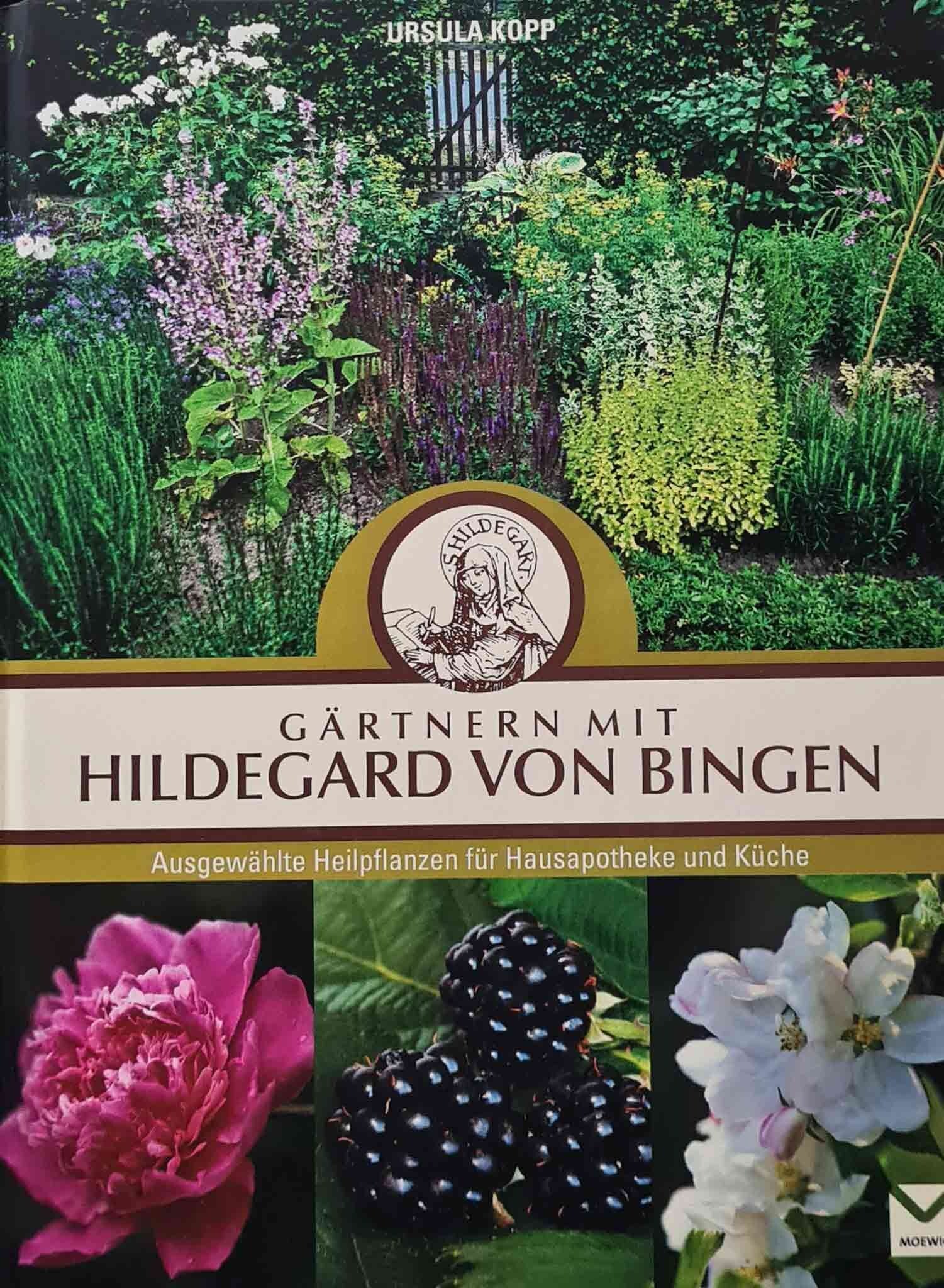 wir flattern auf heimische nachtfalter tagfalter raupen nahrungspflanzen österreich petra urbanek inge biller sabine gasparitz wirflatternauf bugs-team