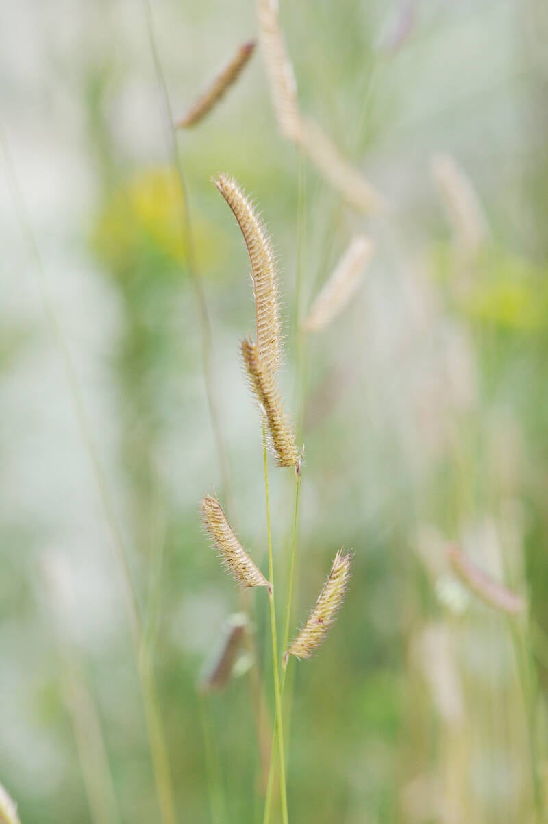 hirschstetten2_2014-108-standard.jpg