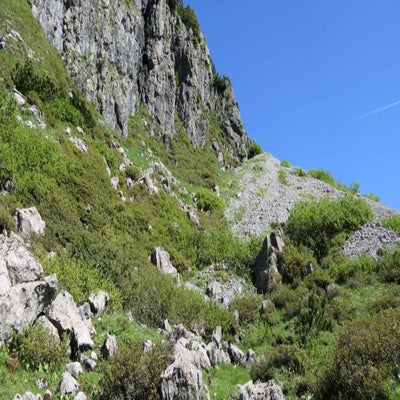 hochgebirge-r-tikon6_inge-standard-7sj43u.jpg