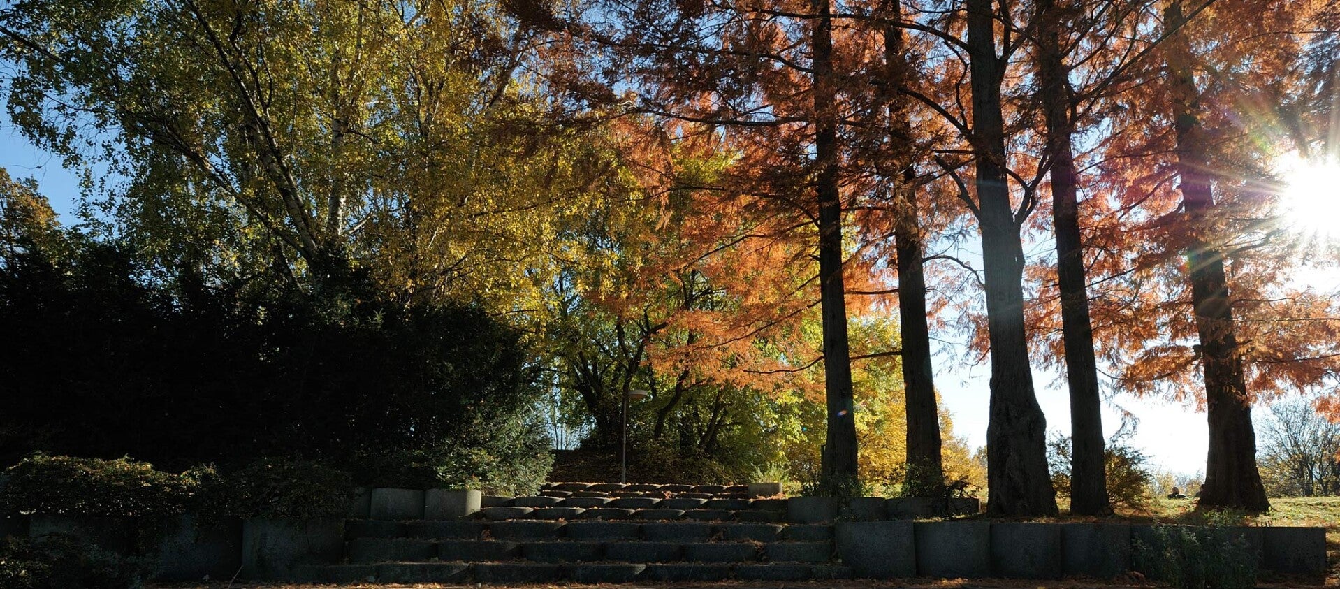 wir flattern auf heimische nachtfalter tagfalter raupen nahrungspflanzen österreich petra urbanek inge biller sabine gasparitz wirflatternauf bugs-team