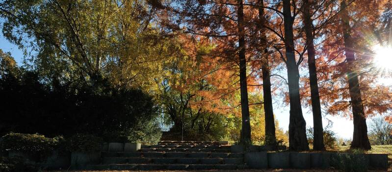 wir flattern auf heimische nachtfalter tagfalter raupen nahrungspflanzen österreich petra urbanek inge biller sabine gasparitz wirflatternauf bugs-team