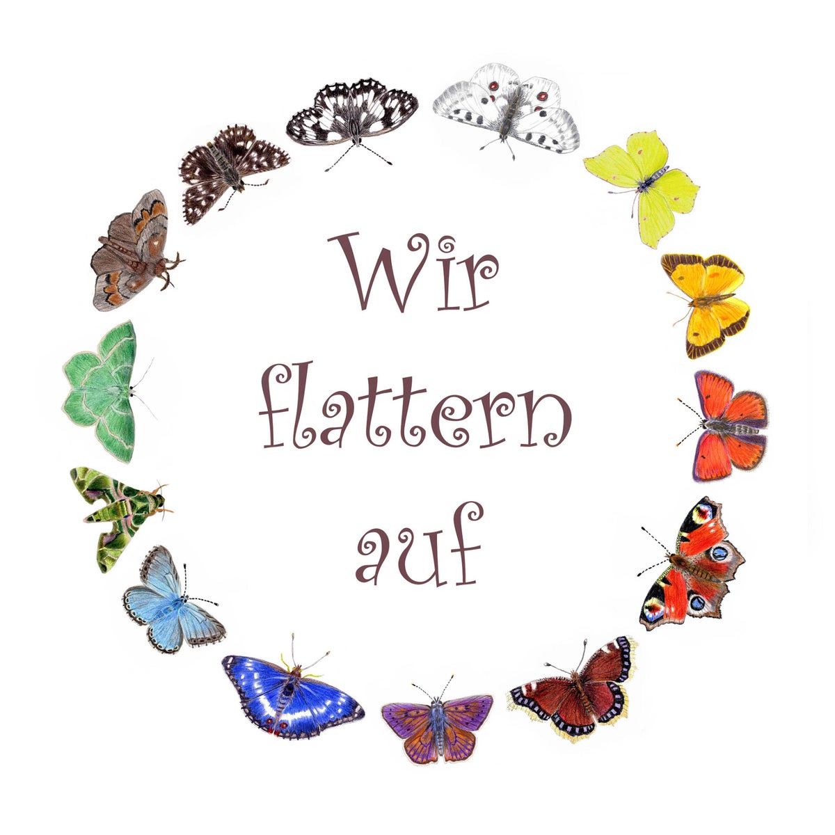 hundefutter nassfutter Nassfutter Wild fr Hunde  Monoprotein & getreidefrei