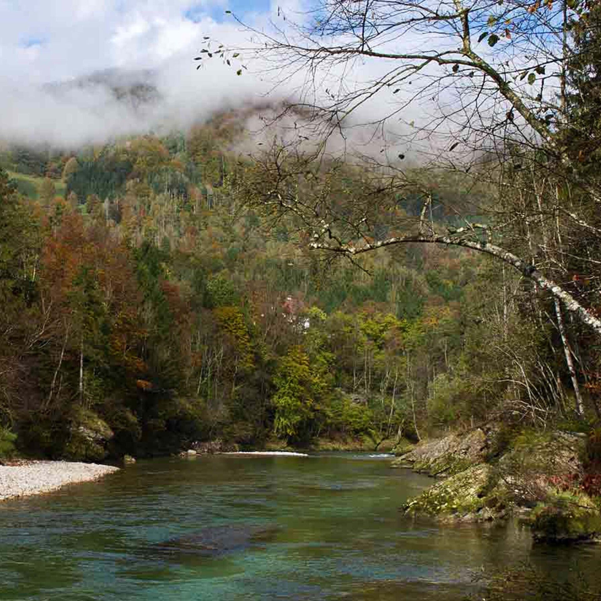 wir flattern auf heimische nachtfalter tagfalter raupen nahrungspflanzen österreich petra urbanek inge biller sabine gasparitz wirflatternauf bugs-team