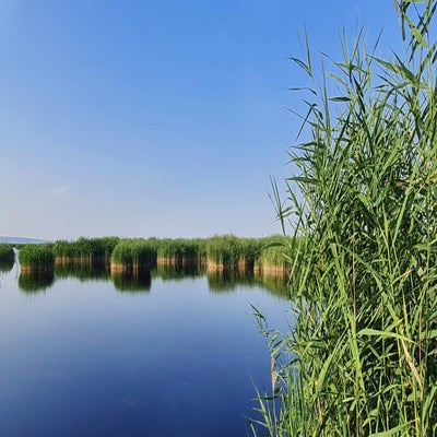m-rbisch7-standard.jpg