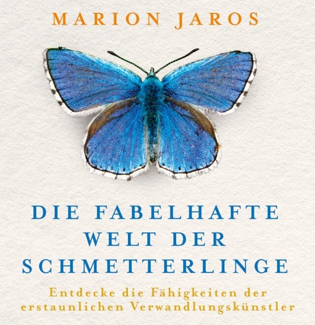 wir flattern auf heimische nachtfalter tagfalter raupen nahrungspflanzen österreich petra urbanek inge biller sabine gasparitz wirflatternauf bugs-team