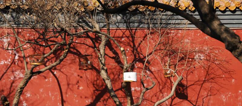 Verbotene Stadt / Peking