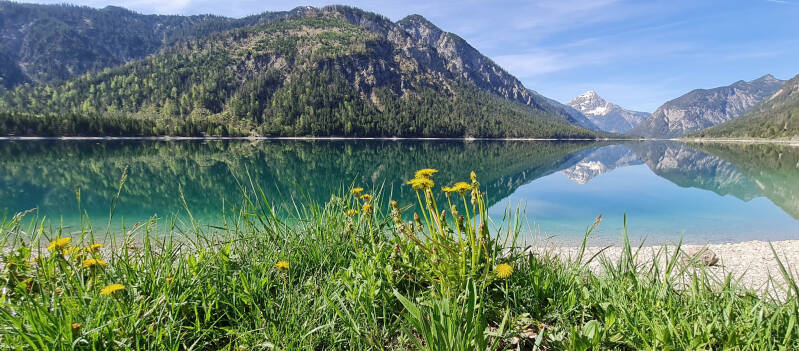 plansee5-standard.jpg