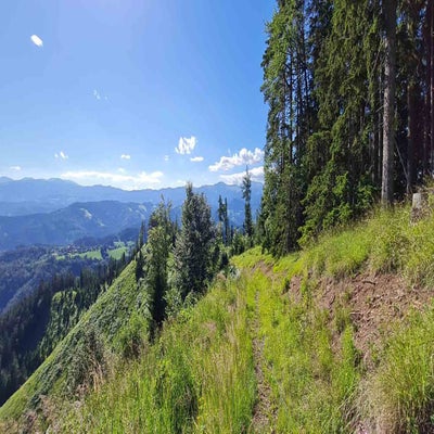 pleschkogel4-standard-5acreh.jpg