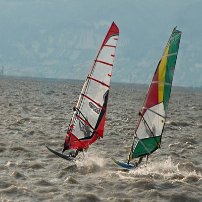 podersdorf2-standard.jpg