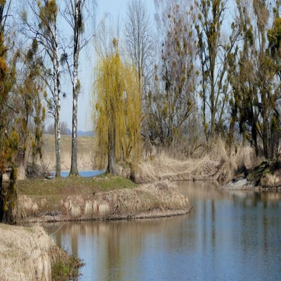 polderdamm-fu-ach1_inge-standard.jpg