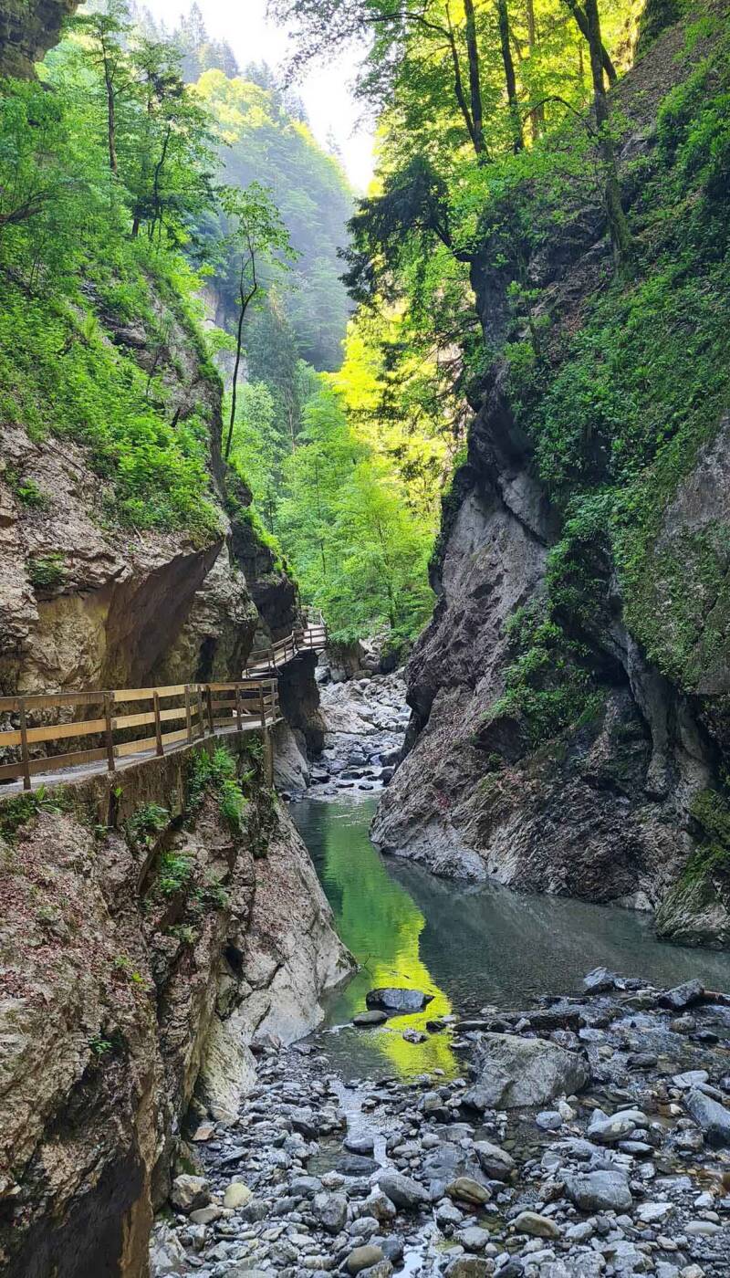 Rappenlochschlucht