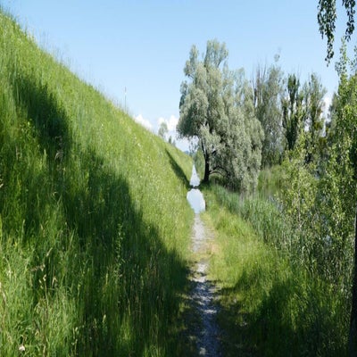 rheindammh2_inge-standard.jpg