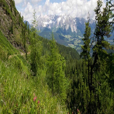 schladming4_2015-standard-9mddaq.jpg