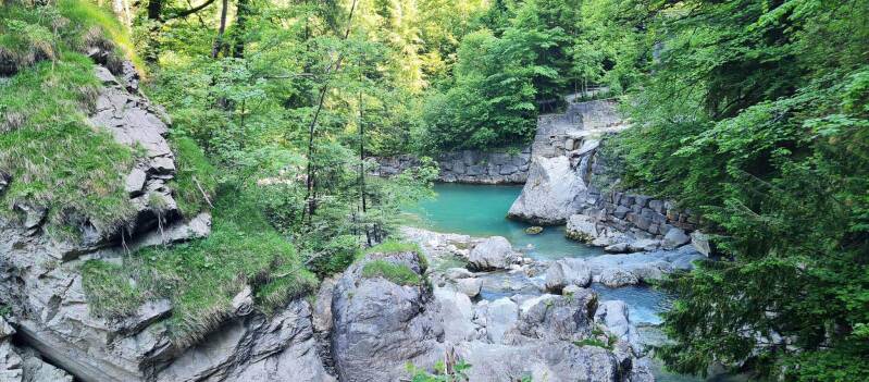 wir flattern auf heimische nachtfalter tagfalter raupen nahrungspflanzen österreich petra urbanek inge biller sabine gasparitz wirflatternauf bugs-team