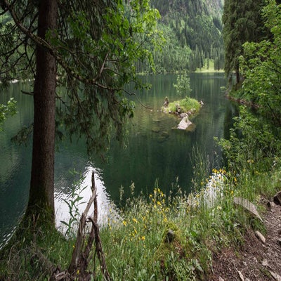 schwarzensee16-standard.jpg