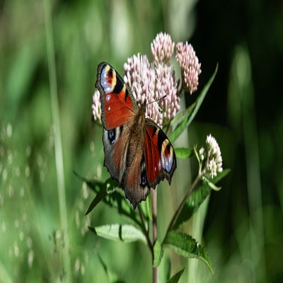 schwarzensee18-standard.jpg