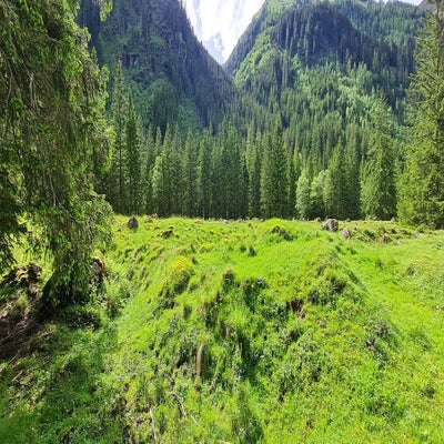 schwarzensee6-standard.jpg