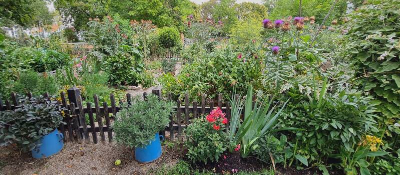 wir flattern auf heimische nachtfalter tagfalter raupen nahrungspflanzen österreich petra urbanek inge biller sabine gasparitz wirflatternauf bugs-team