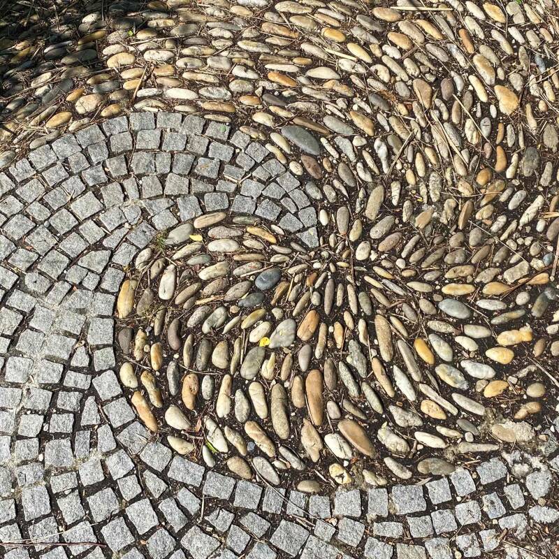 Stein Ying-Yang