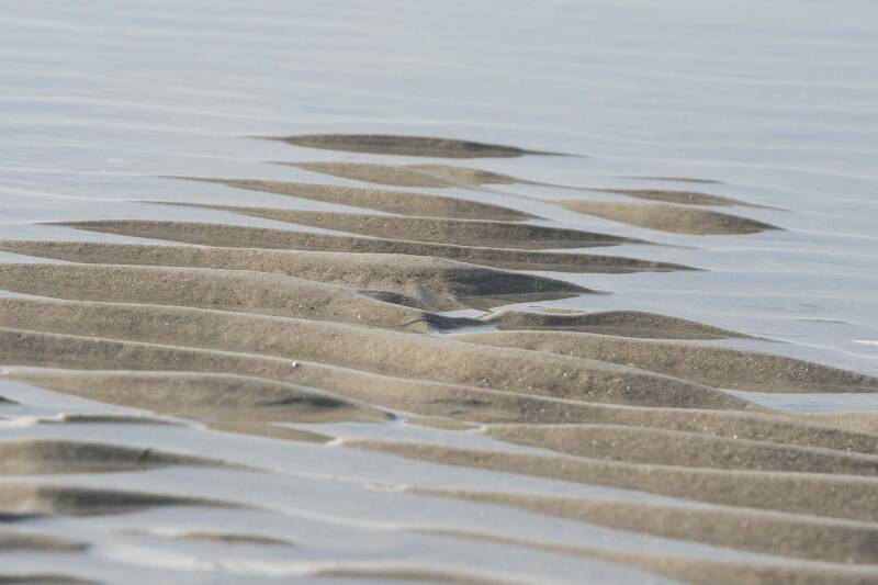 Strand / Nordsee