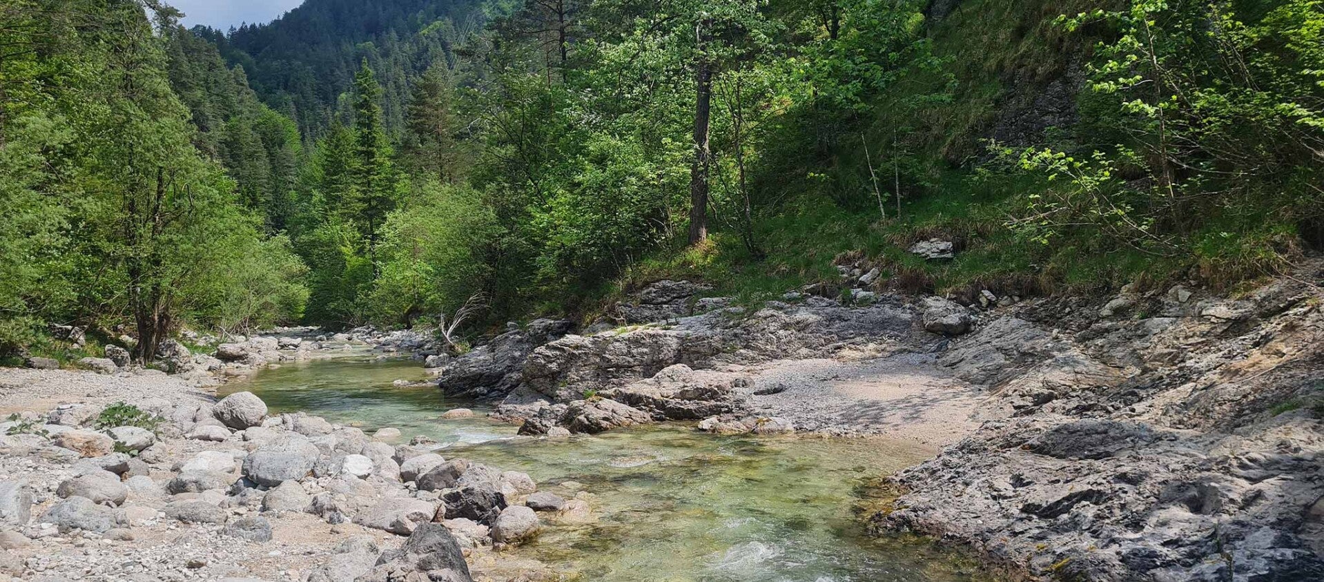 wir flattern auf heimische nachtfalter tagfalter raupen nahrungspflanzen österreich petra urbanek inge biller sabine gasparitz wirflatternauf bugs-team