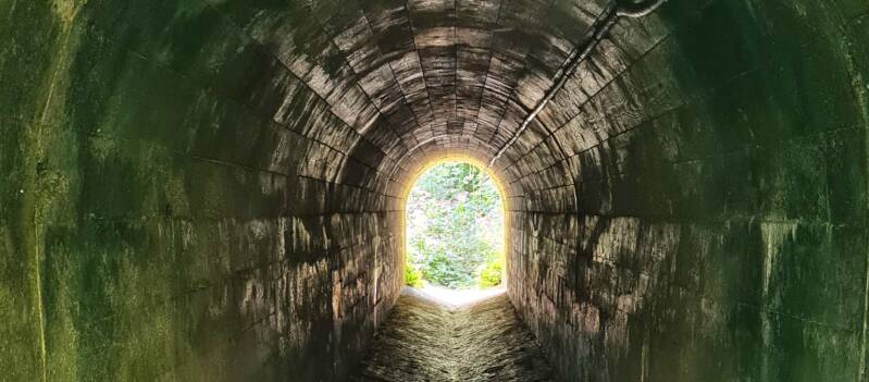 tunnel4_neustift_24-standard.jpg