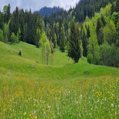walsertal7-standard.jpg