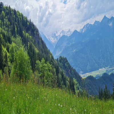 walsertal8-standard.jpg