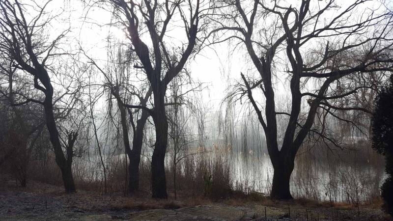Winterlandschaft