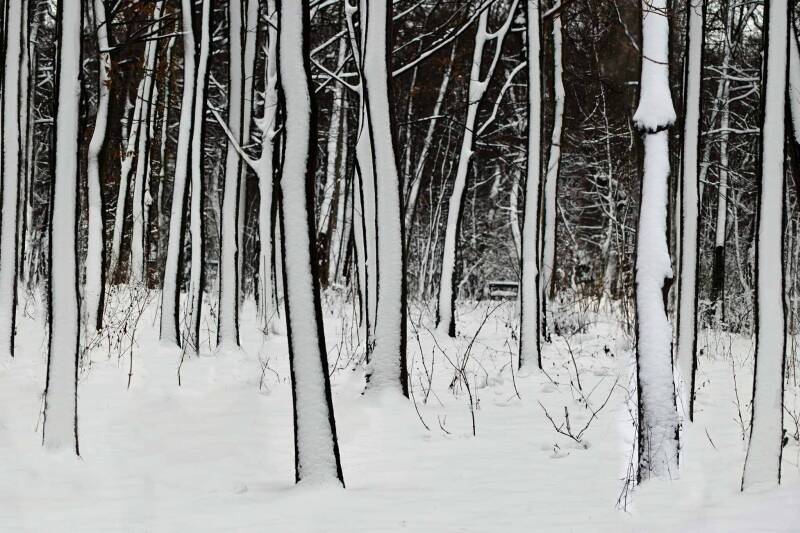 Winterlandschaft