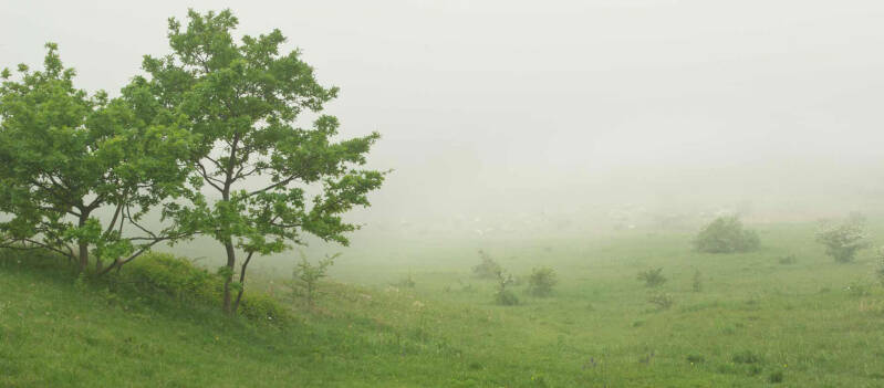 wir flattern auf heimische nachtfalter tagfalter raupen nahrungspflanzen österreich petra urbanek inge biller sabine gasparitz wirflatternauf bugs-team