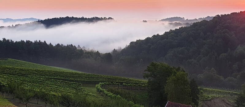 wir flattern auf heimische nachtfalter tagfalter raupen nahrungspflanzen österreich petra urbanek inge biller sabine gasparitz wirflatternauf bugs-team