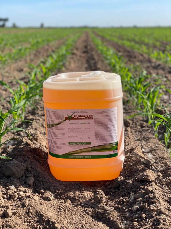 LIBER SALT BIDON CON 20 LITROS