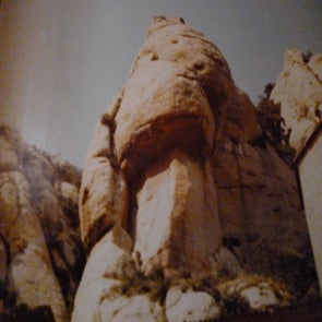 p1010266-standard.jpg