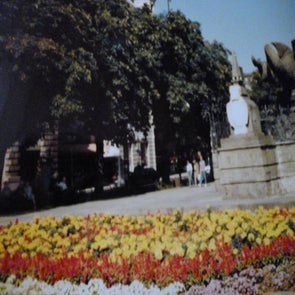p1010267-standard.jpg