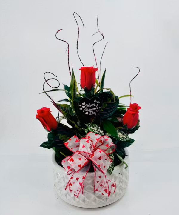 Valentines Day Medium Dish Garden