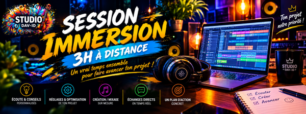 Session Immersion – 3h à distance.