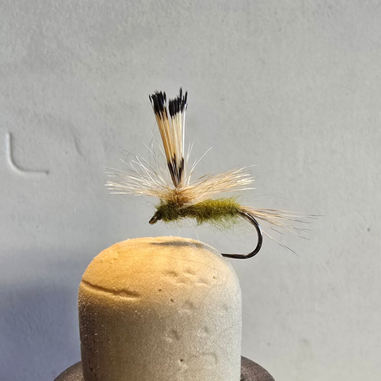 Golden Plumage Parachute Adams