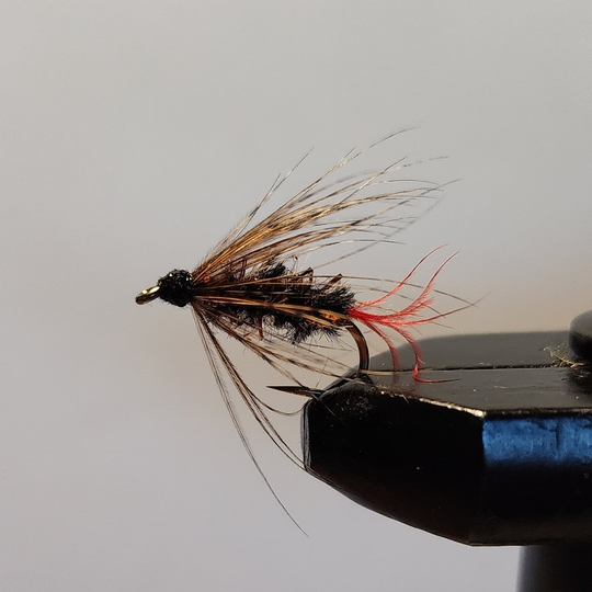Soft Hackle Copper Caddis